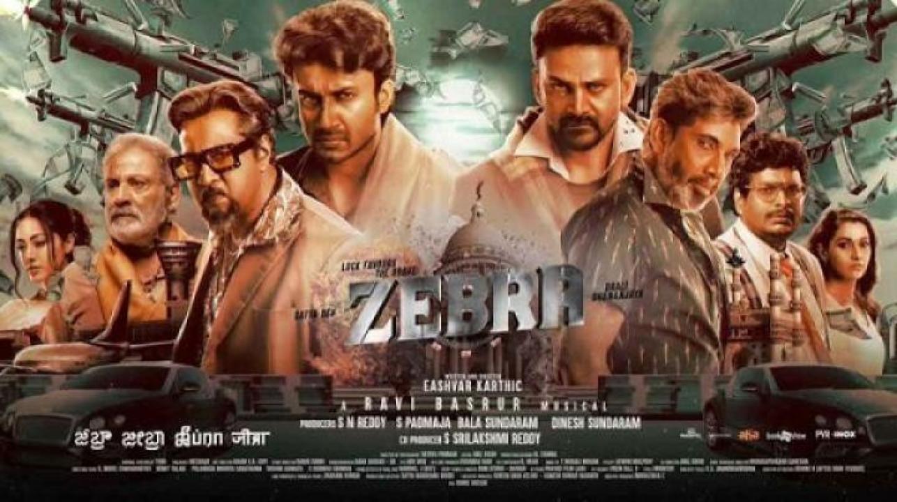 مشاهدة فيلم Zebra 2024 مترجم ايجي بست